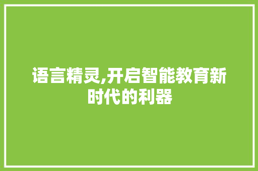 语言精灵,开启智能教育新时代的利器 SEO教程