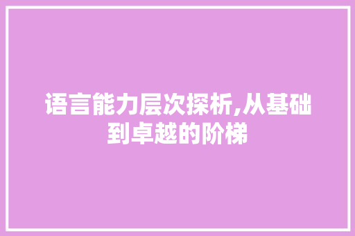 语言能力层次探析,从基础到卓越的阶梯