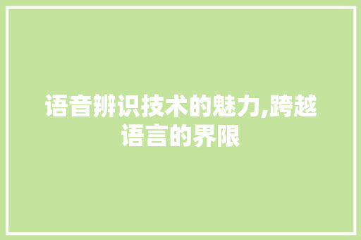 语音辨识技术的魅力,跨越语言的界限