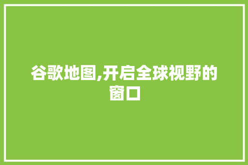 谷歌地图,开启全球视野的窗口 Web前端