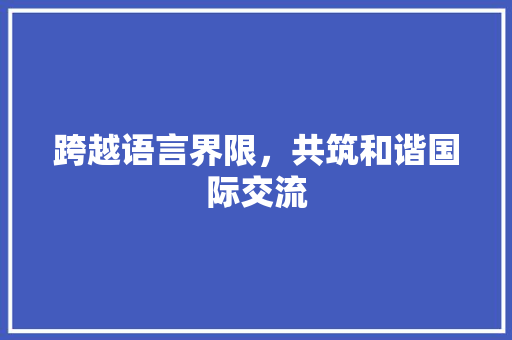 跨越语言界限，共筑和谐国际交流