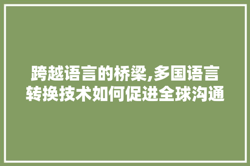 跨越语言的桥梁,多国语言转换技术如何促进全球沟通与合作 服务器/数据库