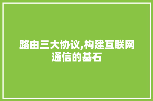 路由三大协议,构建互联网通信的基石