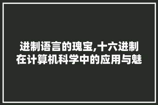 进制语言的瑰宝,十六进制在计算机科学中的应用与魅力