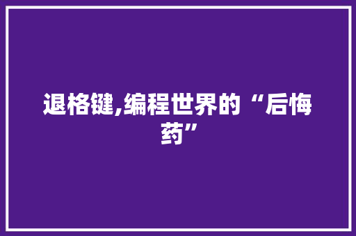 退格键,编程世界的“后悔药”