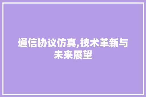通信协议仿真,技术革新与未来展望