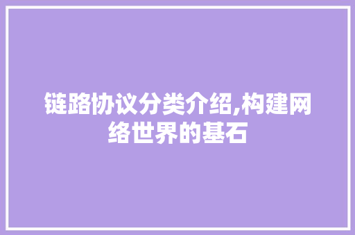 链路协议分类介绍,构建网络世界的基石 WordPress教程