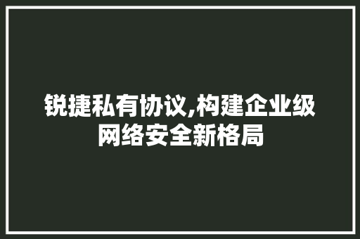 锐捷私有协议,构建企业级网络安全新格局