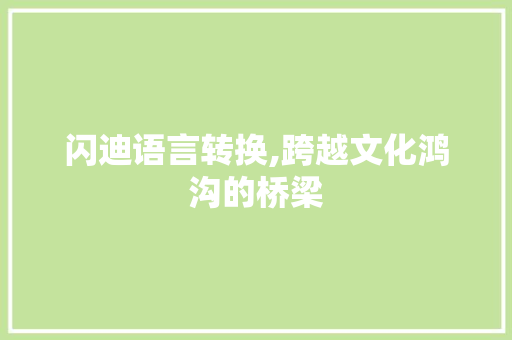 闪迪语言转换,跨越文化鸿沟的桥梁 服务器/数据库