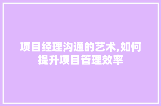 项目经理沟通的艺术,如何提升项目管理效率