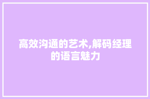 高效沟通的艺术,解码经理的语言魅力 建站教程