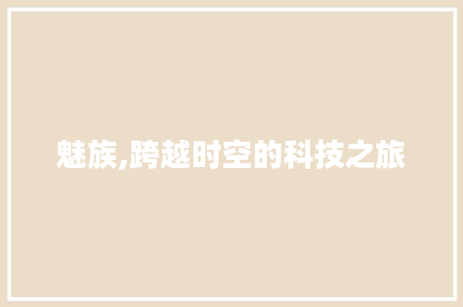 魅族,跨越时空的科技之旅 建站教程
