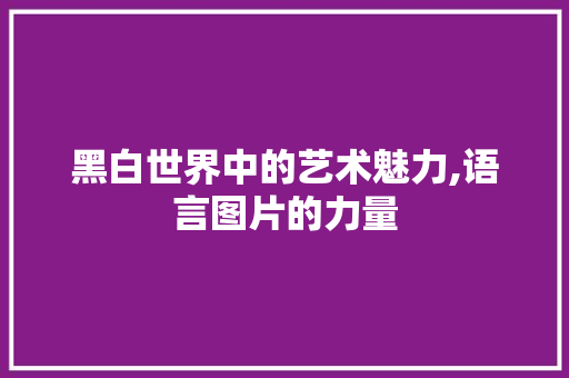 黑白世界中的艺术魅力,语言图片的力量 建站教程