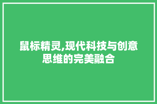 鼠标精灵,现代科技与创意思维的完美融合 Web前端