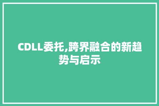 CDLL委托,跨界融合的新趋势与启示 建站教程