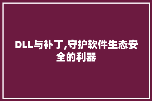 DLL与补丁,守护软件生态安全的利器 DLL与补丁,守护软件生态安全的利器
