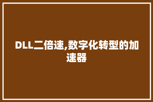 DLL二倍速,数字化转型的加速器 DLL二倍速,数字化转型的加速器
