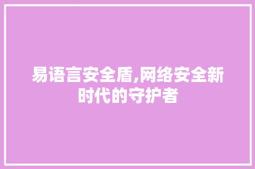 易语言安全盾,网络安全新时代的守护者 SEO教程