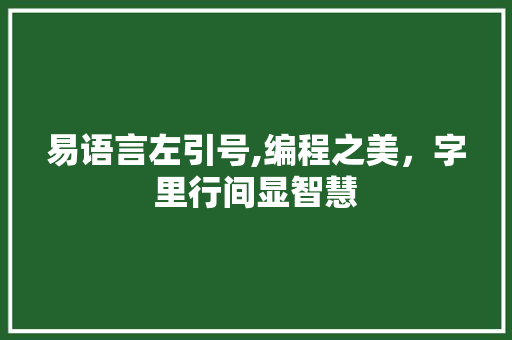 易语言左引号,编程之美，字里行间显智慧