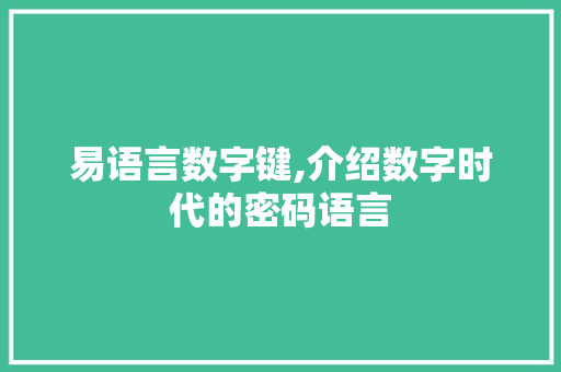 易语言数字键,介绍数字时代的密码语言