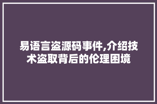 易语言盗源码事件,介绍技术盗取背后的伦理困境