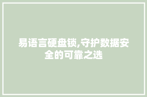 易语言硬盘锁,守护数据安全的可靠之选