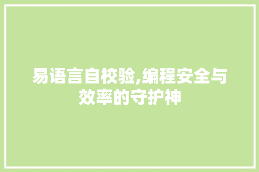 易语言自校验,编程安全与效率的守护神