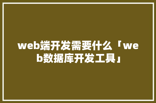 web端开发需要什么「web数据库开发工具」