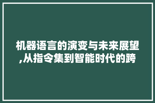 机器语言的演变与未来展望,从指令集到智能时代的跨越