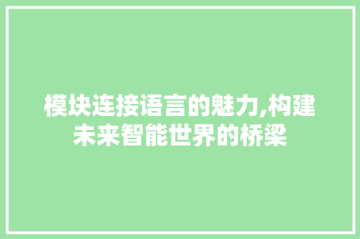 模块连接语言的魅力,构建未来智能世界的桥梁