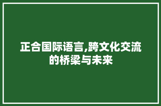 正合国际语言,跨文化交流的桥梁与未来
