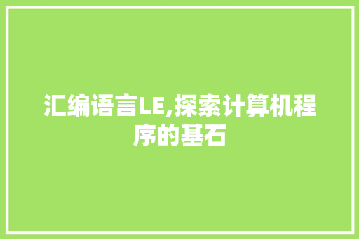 汇编语言LE,探索计算机程序的基石