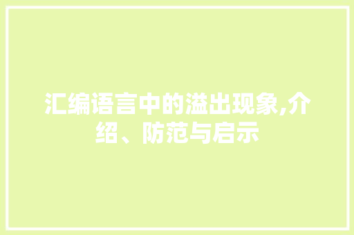 汇编语言中的溢出现象,介绍、防范与启示