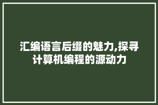 汇编语言后缀的魅力,探寻计算机编程的源动力