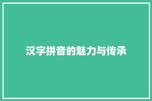 汉字拼音的魅力与传承