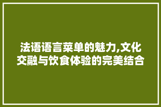 法语语言菜单的魅力,文化交融与饮食体验的完美结合