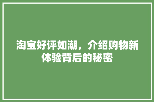 淘宝好评如潮，介绍购物新体验背后的秘密