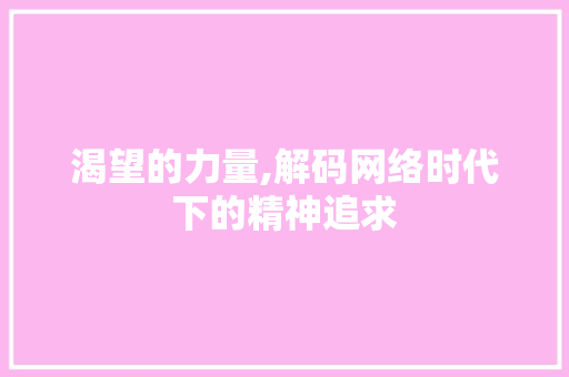 渴望的力量,解码网络时代下的精神追求