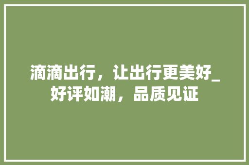 滴滴出行，让出行更美好_好评如潮，品质见证