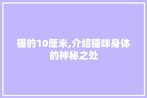 猫的10厘米,介绍猫咪身体的神秘之处