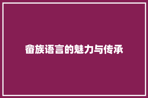 畲族语言的魅力与传承