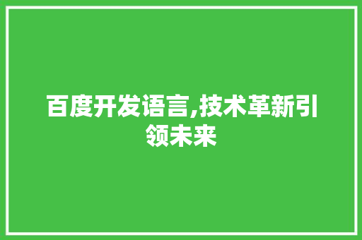 百度开发语言,技术革新引领未来 百度开发语言,技术革新引领未来
