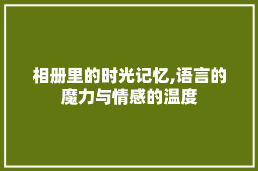 相册里的时光记忆,语言的魔力与情感的温度 相册里的时光记忆,语言的魔力与情感的温度