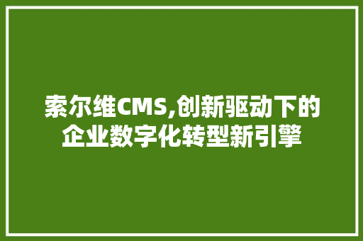 索尔维CMS,创新驱动下的企业数字化转型新引擎