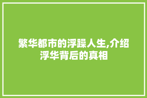 繁华都市的浮躁人生,介绍浮华背后的真相
