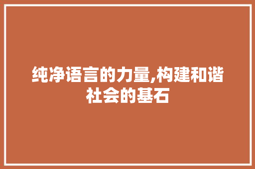 纯净语言的力量,构建和谐社会的基石