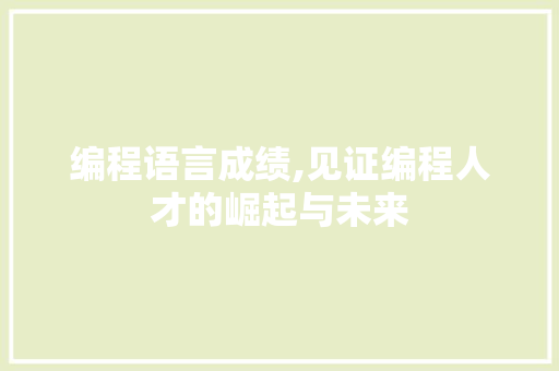 编程语言成绩,见证编程人才的崛起与未来