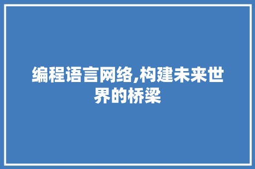 编程语言网络,构建未来世界的桥梁