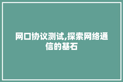 网口协议测试,探索网络通信的基石