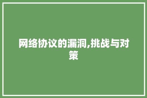 网络协议的漏洞,挑战与对策